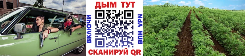 Конопля VHQ  мега маркетплейс  Горбатов 